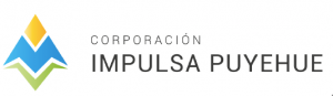 Impulsa Puyehue